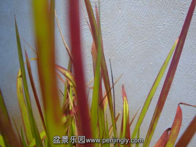 DSC01866.JPG