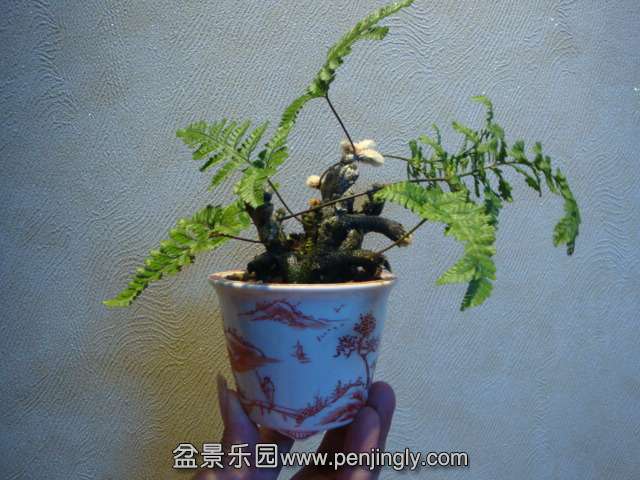 DSC01859.JPG