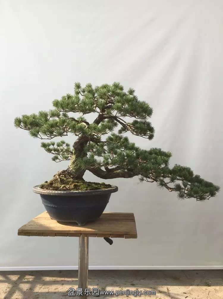 psb (9).jpg
