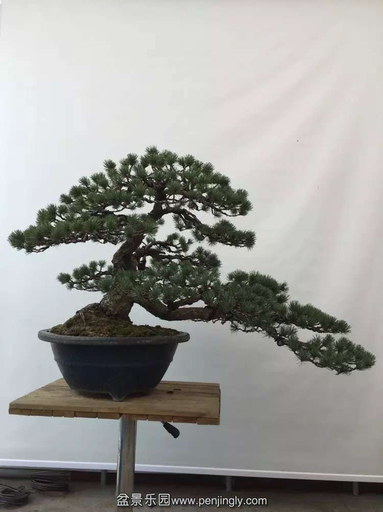 psb (8).jpg