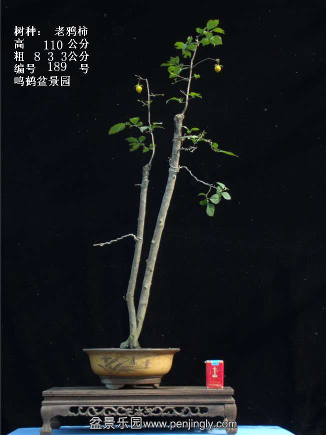 GEDC3778.jpg