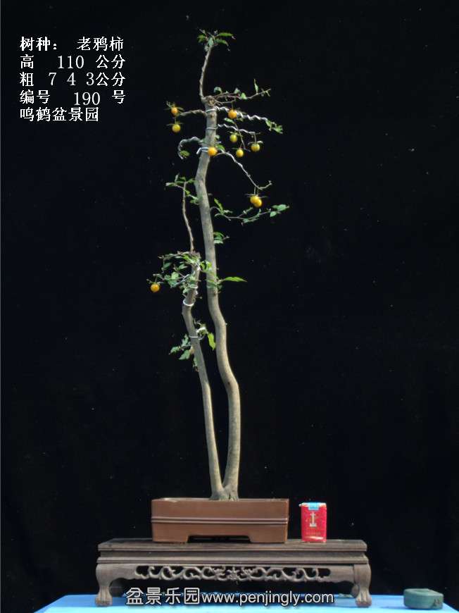 GEDC3782.jpg