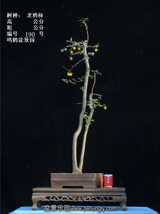 GEDC3786.jpg