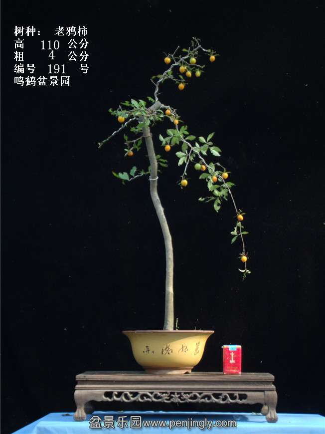 GEDC3787.jpg