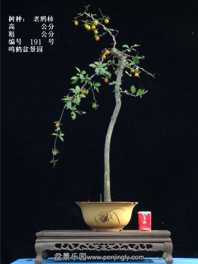 GEDC3792.jpg