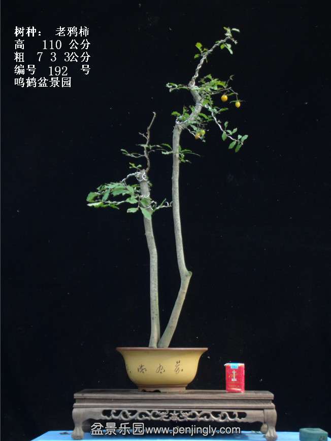GEDC3793.jpg