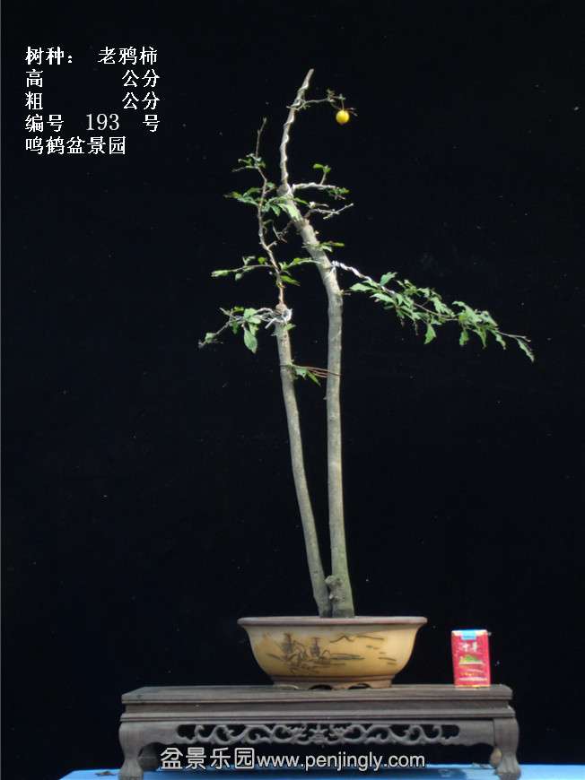 GEDC3802.jpg