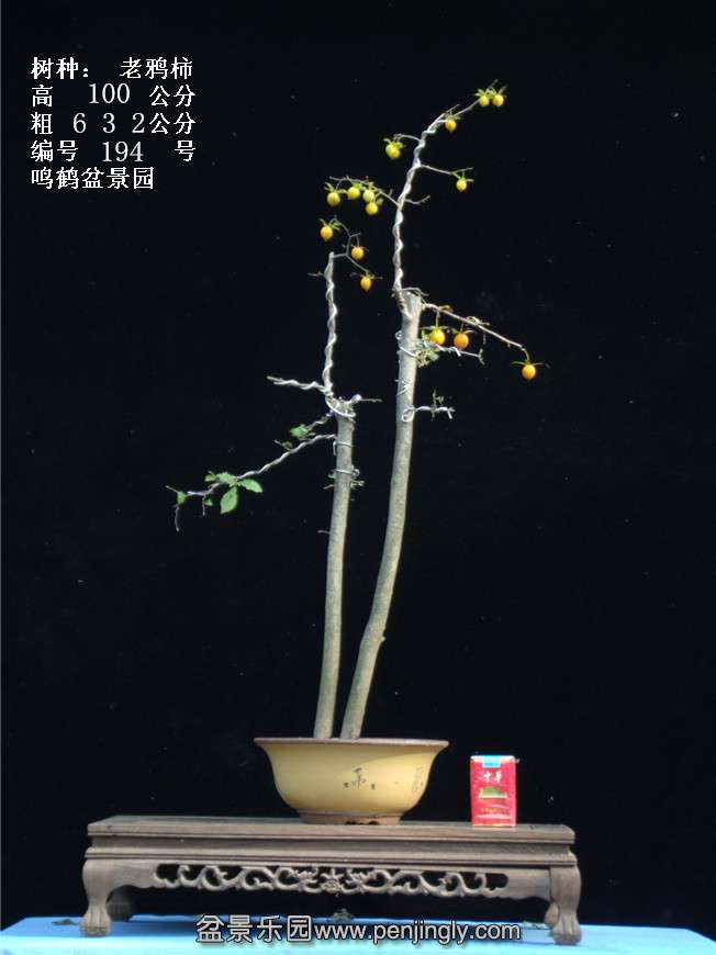 GEDC3803.jpg