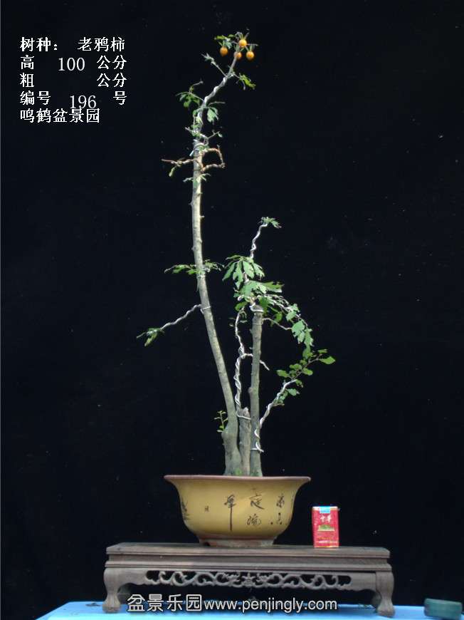 GEDC3813.jpg