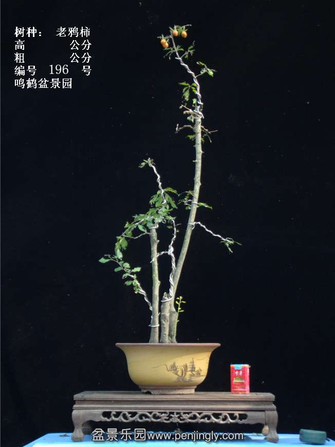 GEDC3815.jpg