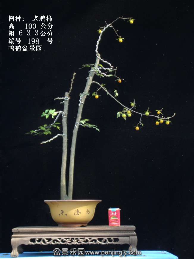GEDC3820.jpg