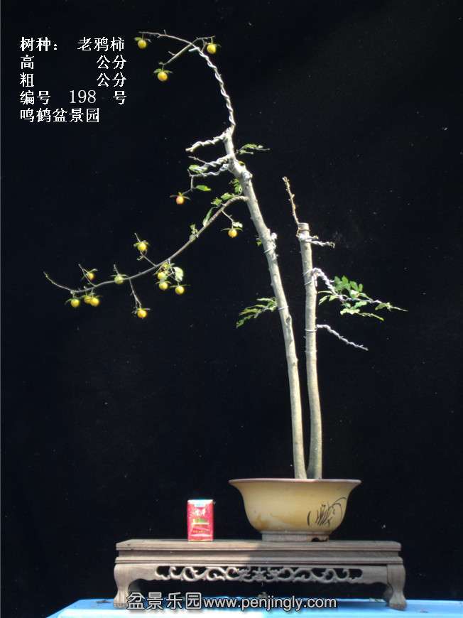 GEDC3824.jpg