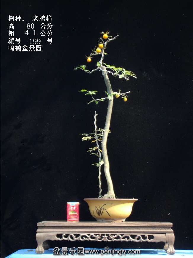 GEDC3825.jpg