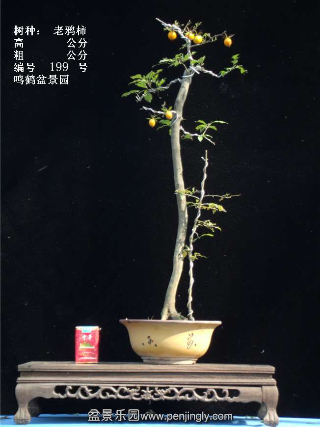 GEDC3827.jpg