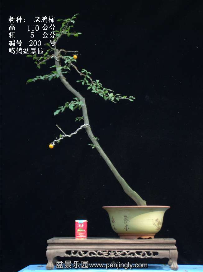 GEDC3828.jpg