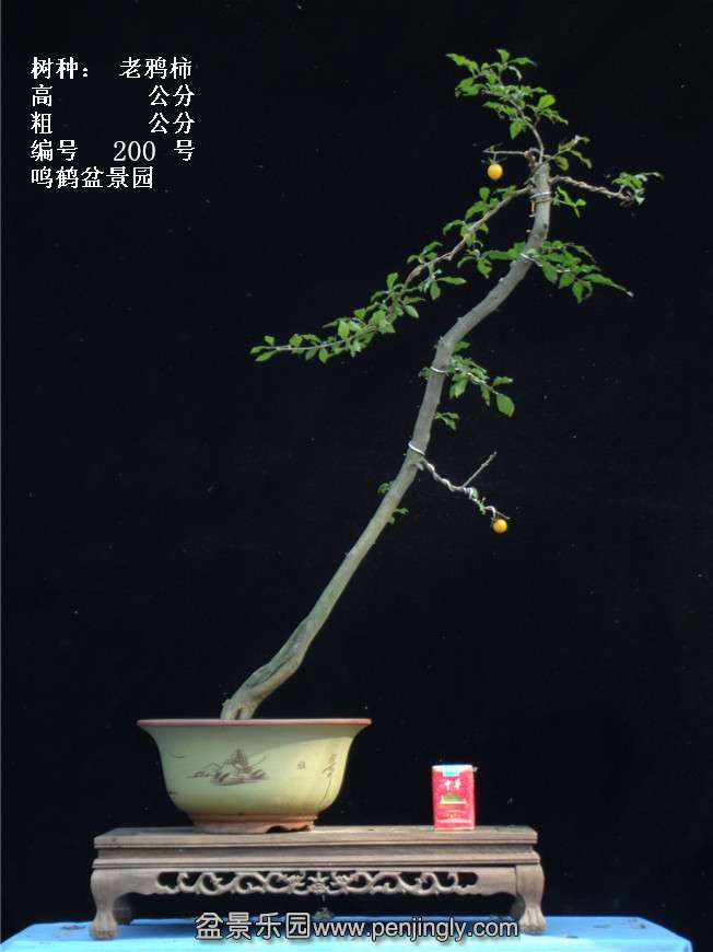 GEDC3832.jpg