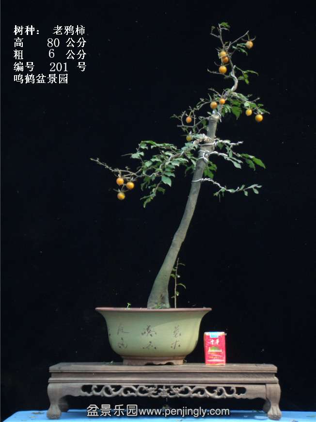 GEDC3837.jpg