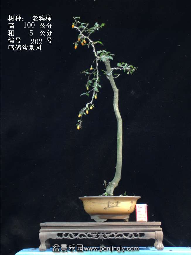 GEDC3838.jpg