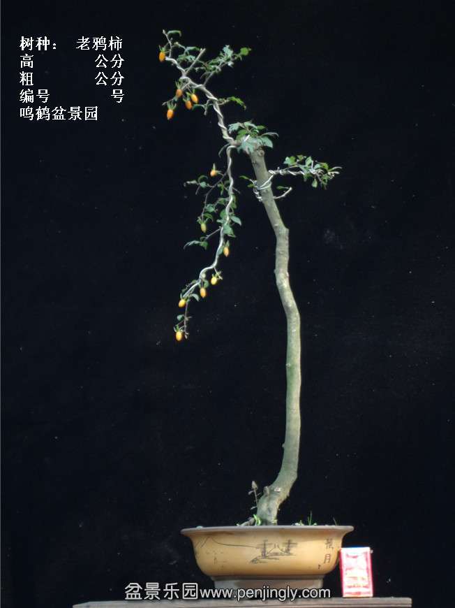 GEDC3839.jpg