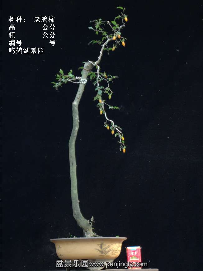 GEDC3843.jpg