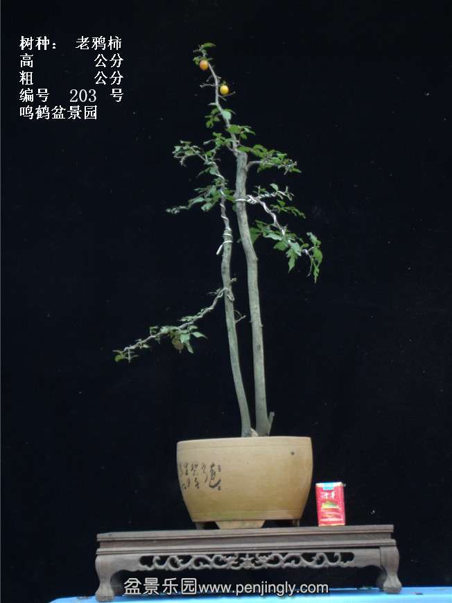 GEDC3848.jpg