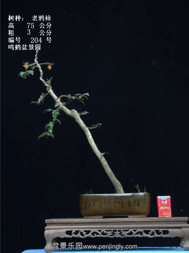 GEDC3849.jpg