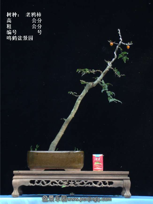 GEDC3853.jpg