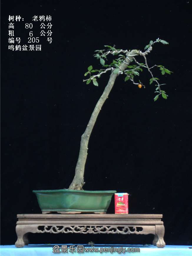 GEDC3854.jpg