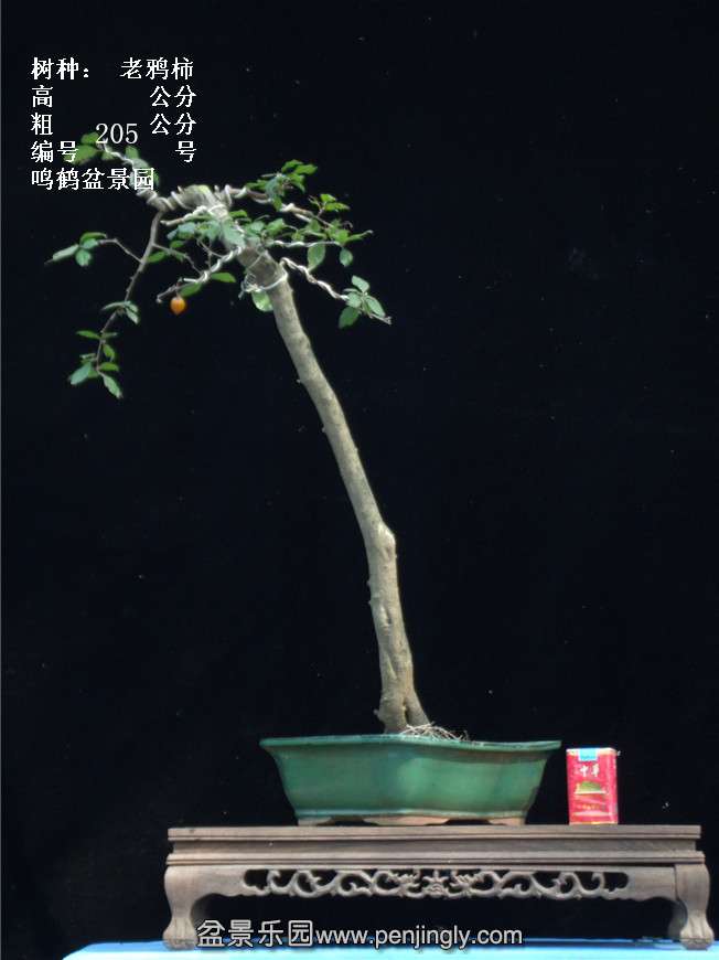 GEDC3857.jpg