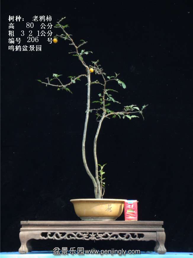 GEDC3858.jpg