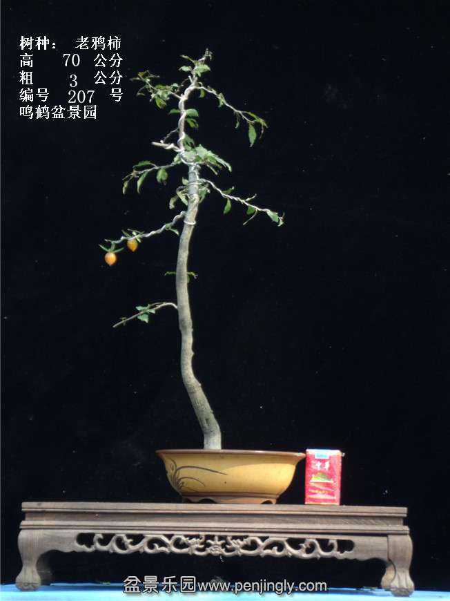 GEDC3861.jpg
