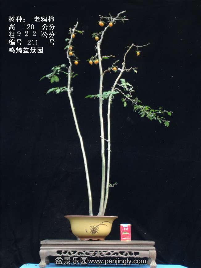 GEDC3874.jpg