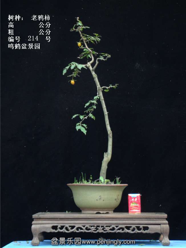 GEDC3891.jpg
