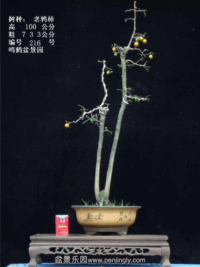 GEDC3896.jpg
