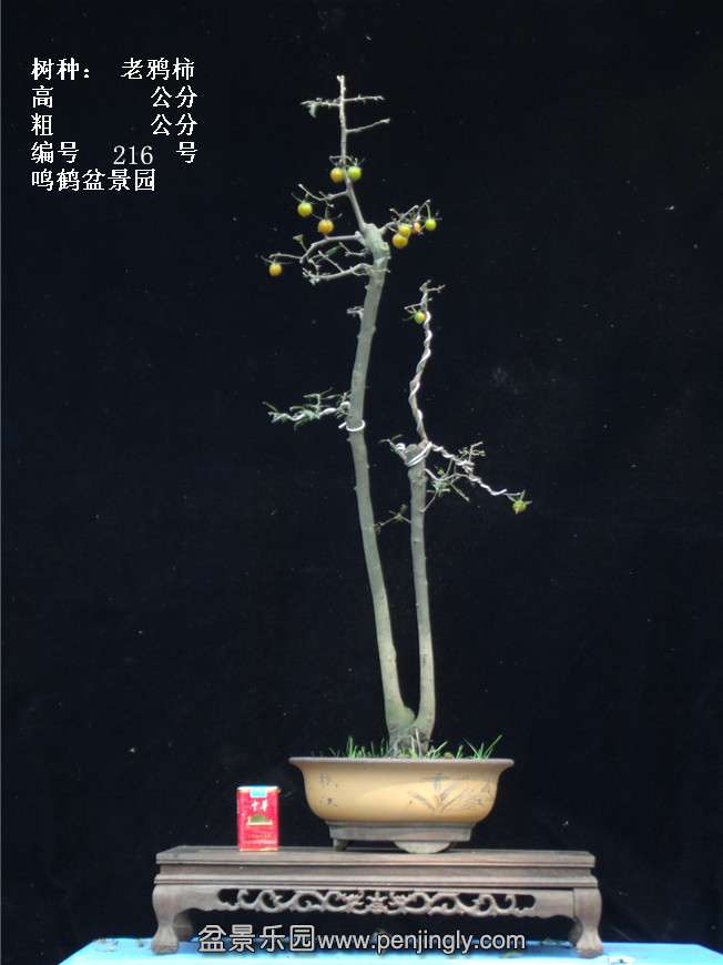 GEDC3899.jpg