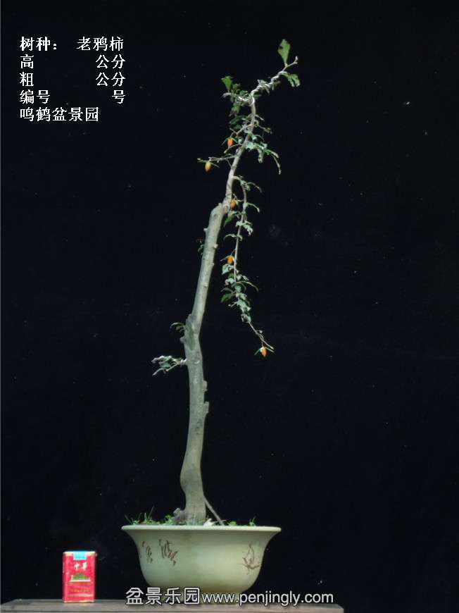 GEDC3903.jpg