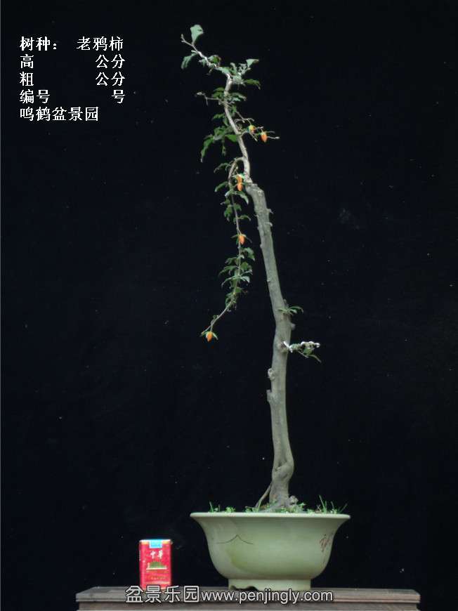 GEDC3909.jpg