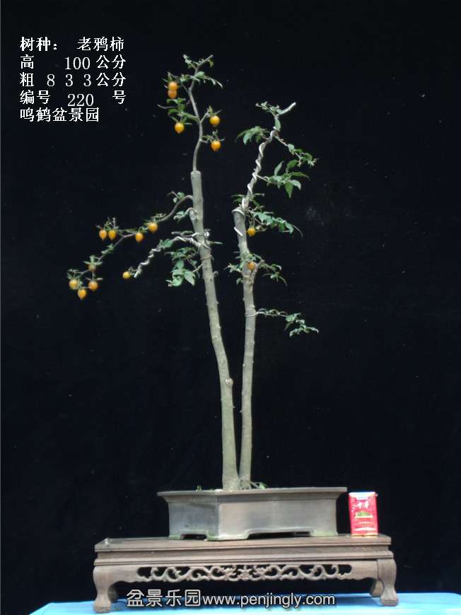 GEDC3920.jpg