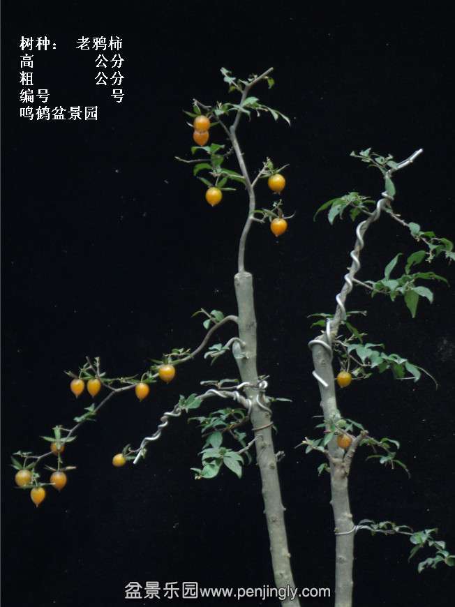 GEDC3922.jpg