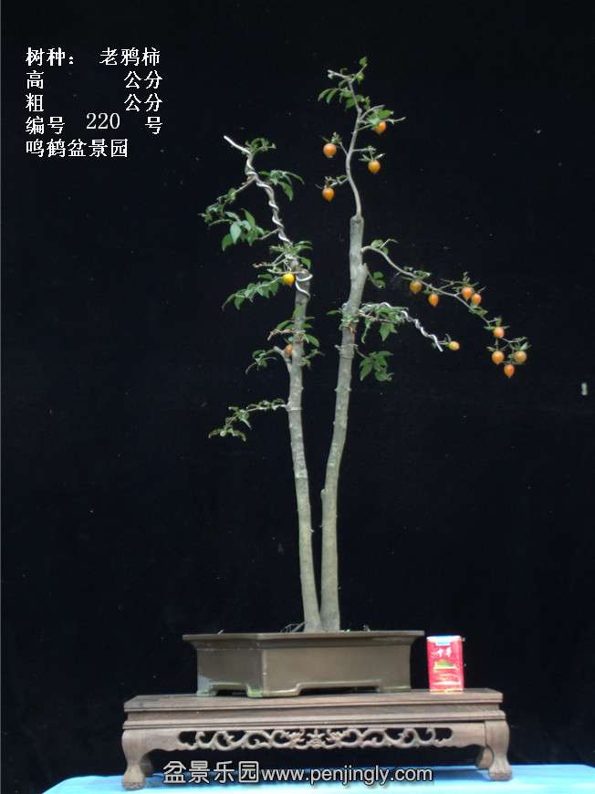 GEDC3923.jpg