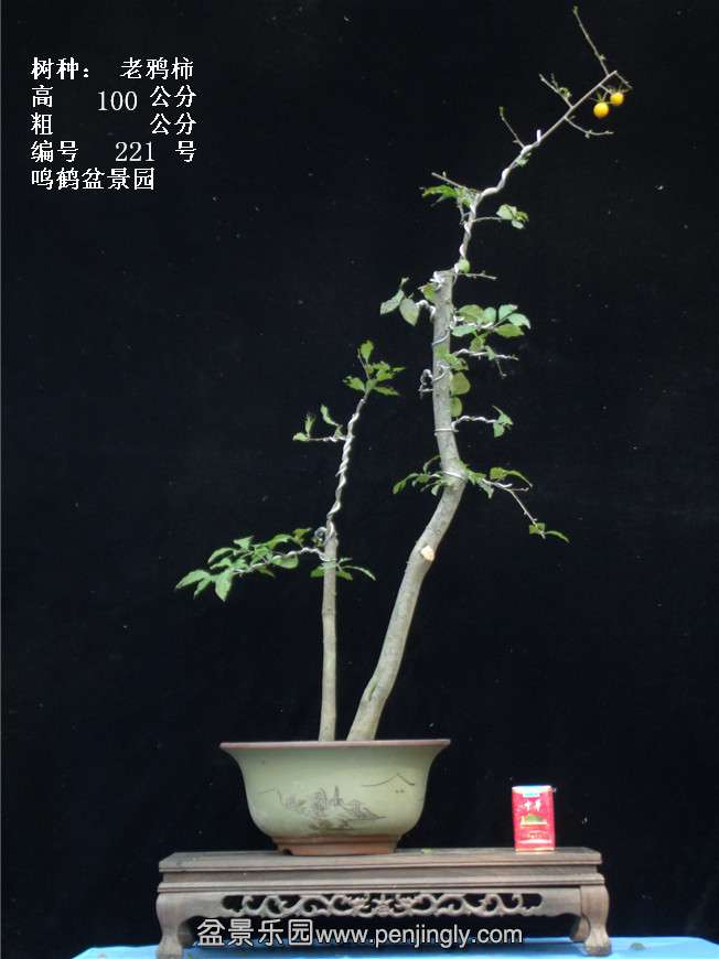 GEDC3928.jpg