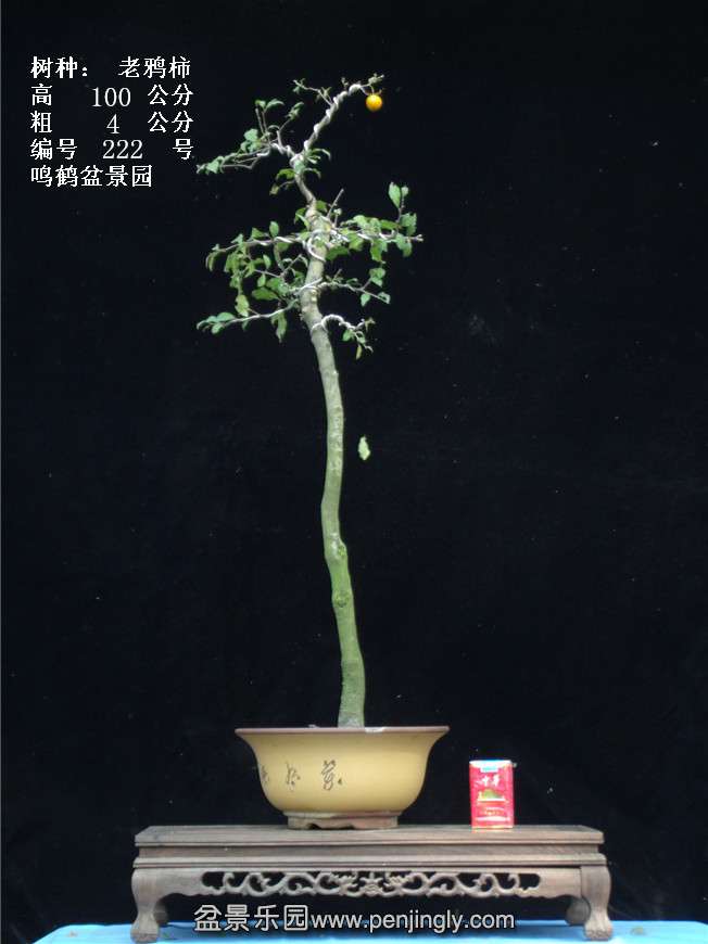 GEDC3929.jpg