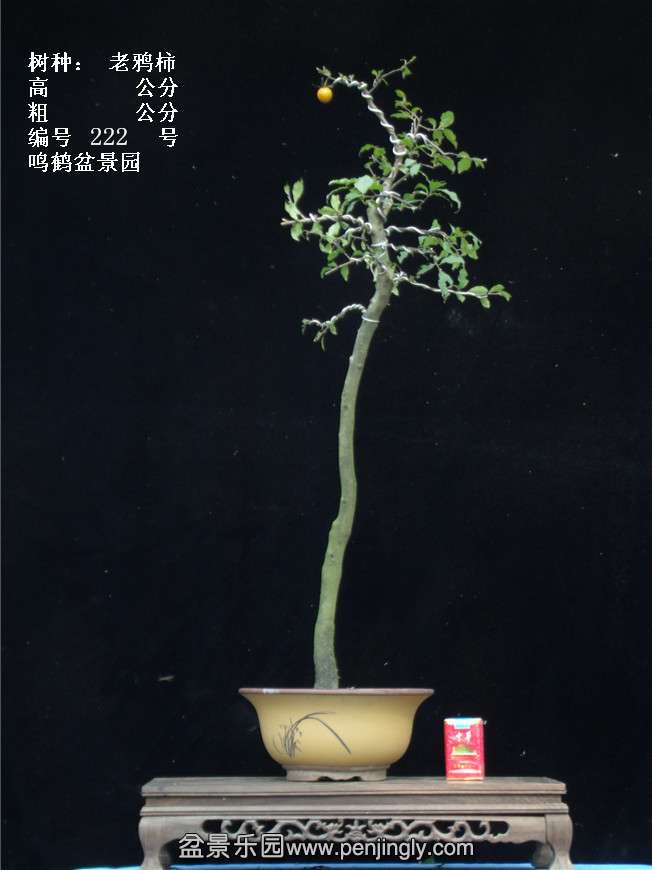 GEDC3931.jpg