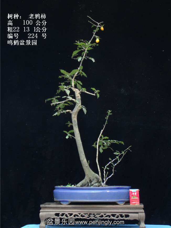 GEDC3935.jpg