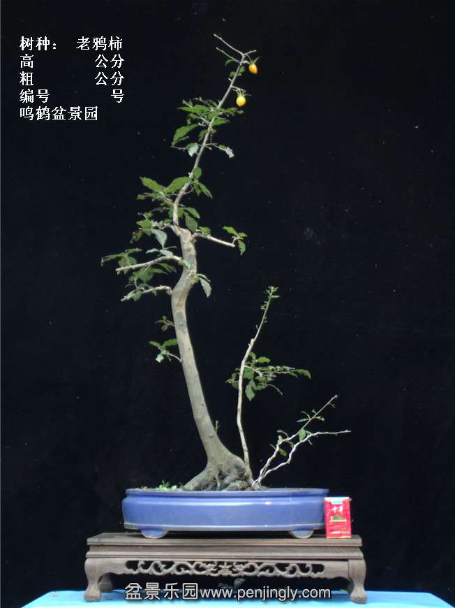 GEDC3936.jpg