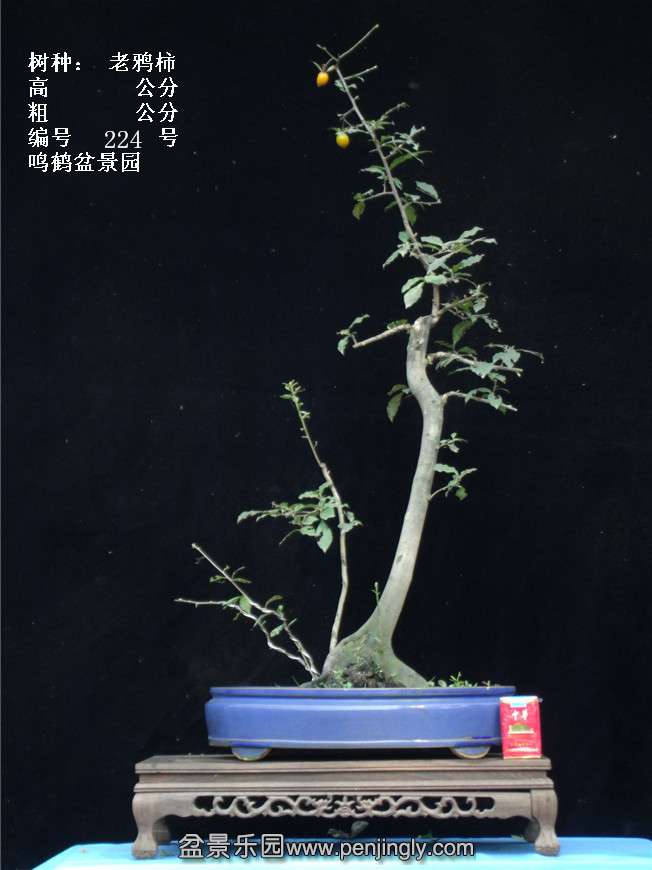 GEDC3939.jpg