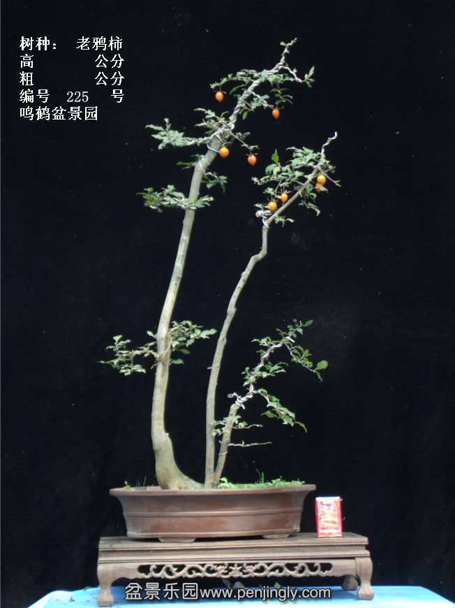 GEDC3946.jpg