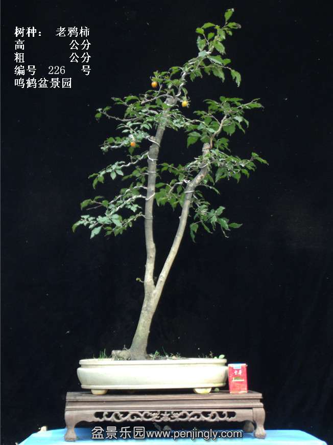 GEDC3949.jpg