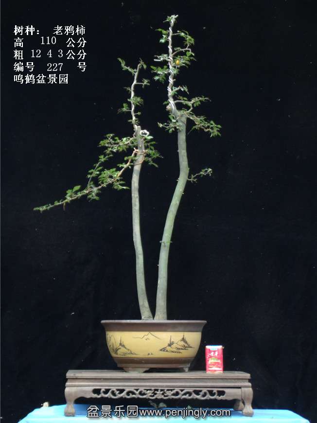 GEDC3950.jpg