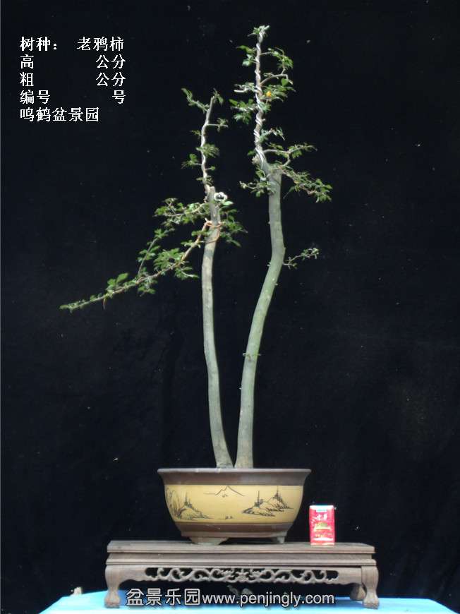 GEDC3951.jpg